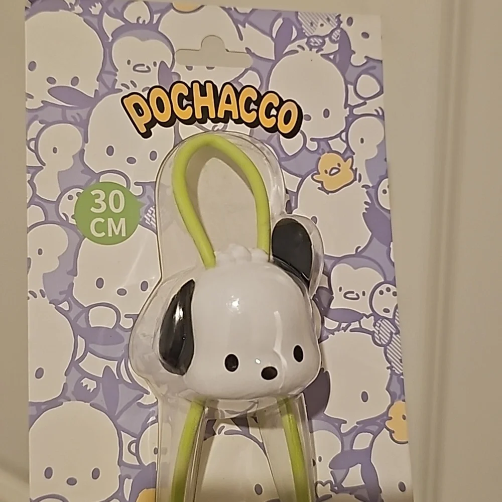 Pochacco USB to Type C cable
